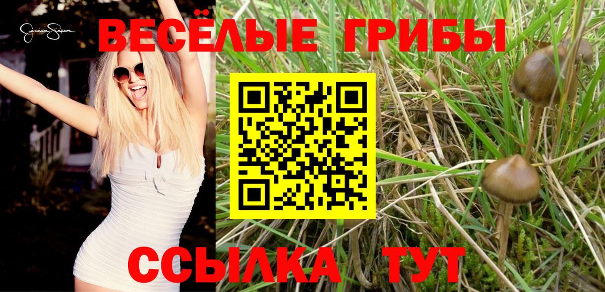Галлюциногенные грибы Cubensis Рассказово