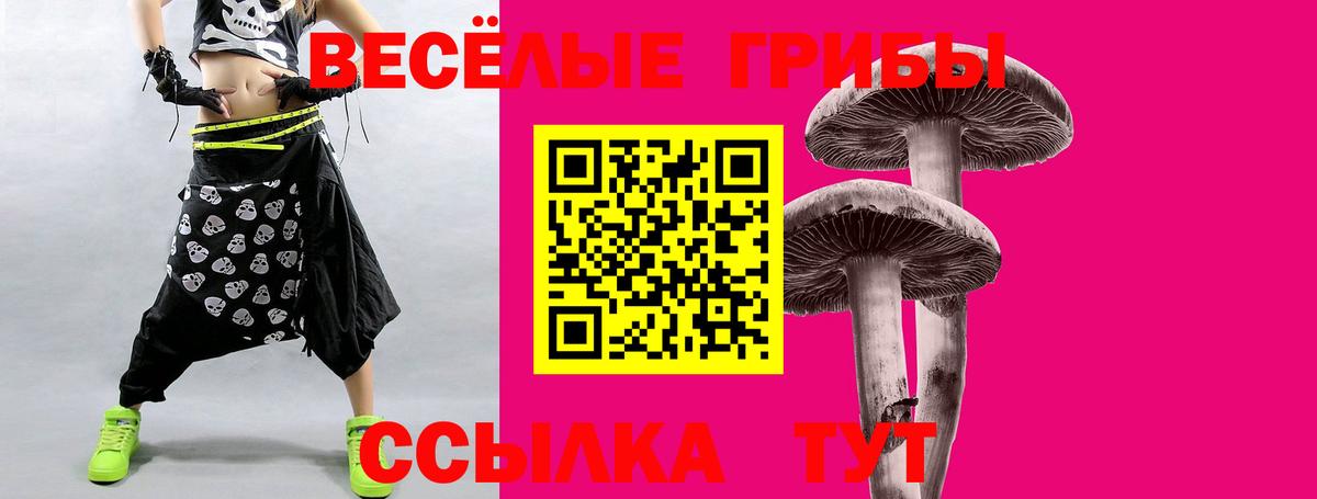 Рассказово  Псилоцибиновые грибы прущие грибы  Вход с VPN 